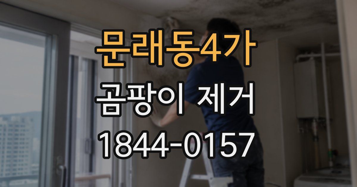 문래동4가 곰팡이 제거