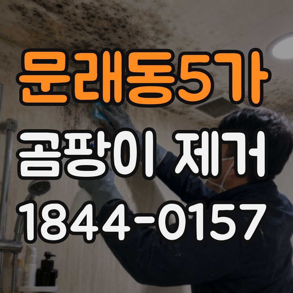 문래동5가 곰팡이 제거 천장 얼룩이 넓어지기 전 확인할 점