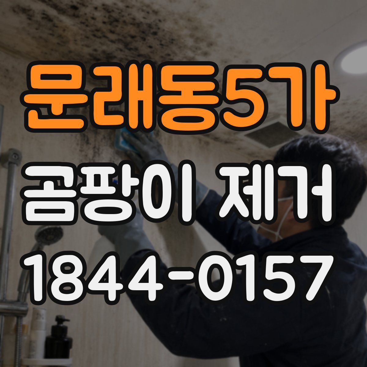 문래동5가 곰팡이 제거