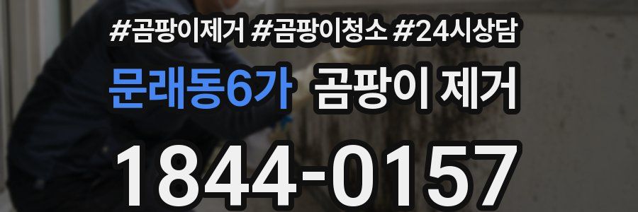 문래동6가 곰팡이 제거