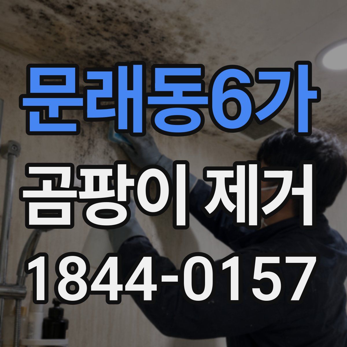 문래동6가 곰팡이 제거