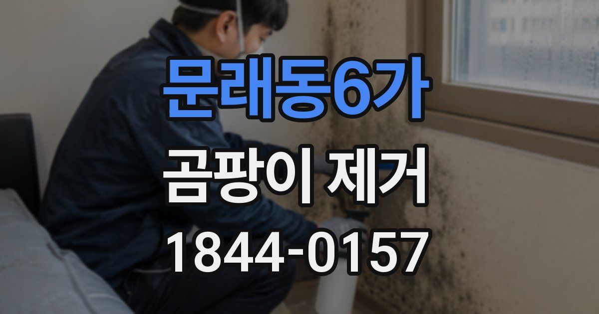 문래동6가 곰팡이 제거
