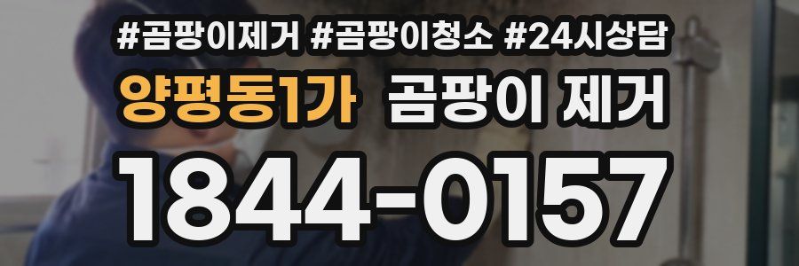양평동1가 곰팡이 제거