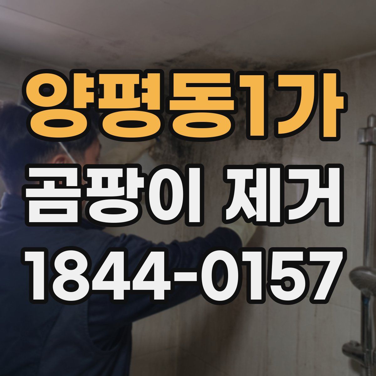 양평동1가 곰팡이 제거