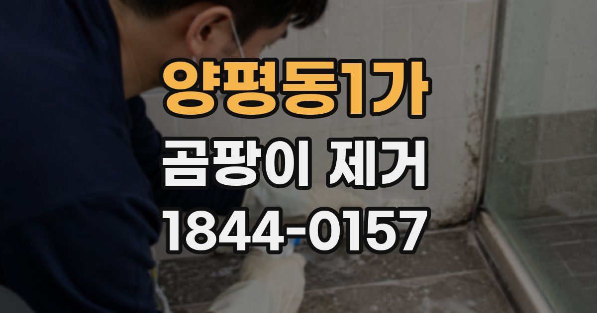 양평동1가 곰팡이 제거
