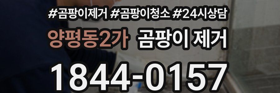 양평동2가 곰팡이 제거