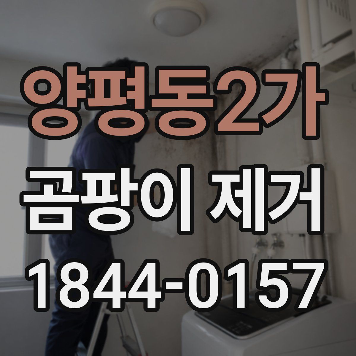 양평동2가 곰팡이 제거