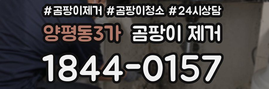 양평동3가 곰팡이 제거