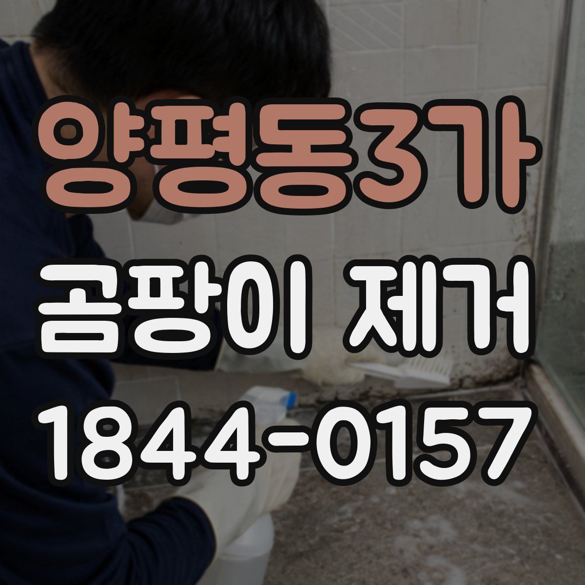 양평동3가 곰팡이 제거