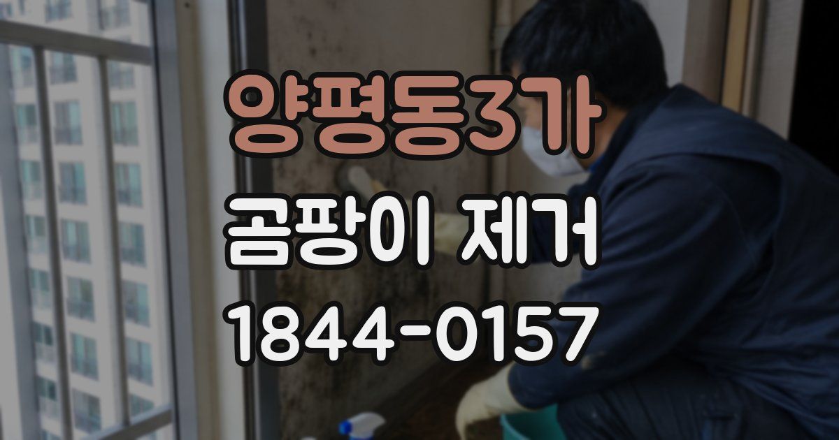 양평동3가 곰팡이 제거