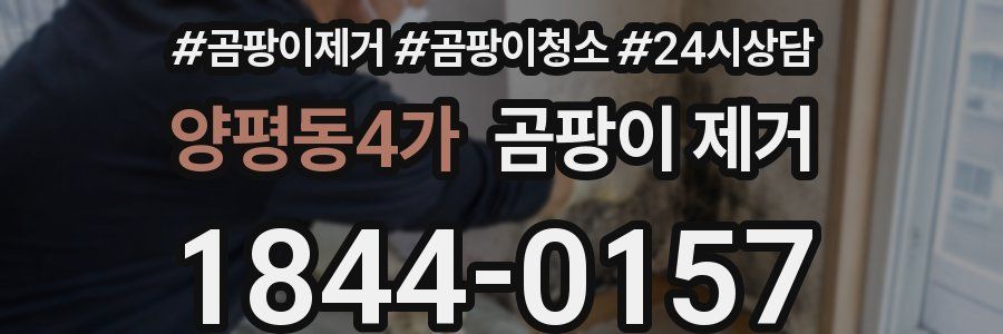 양평동4가 곰팡이 제거