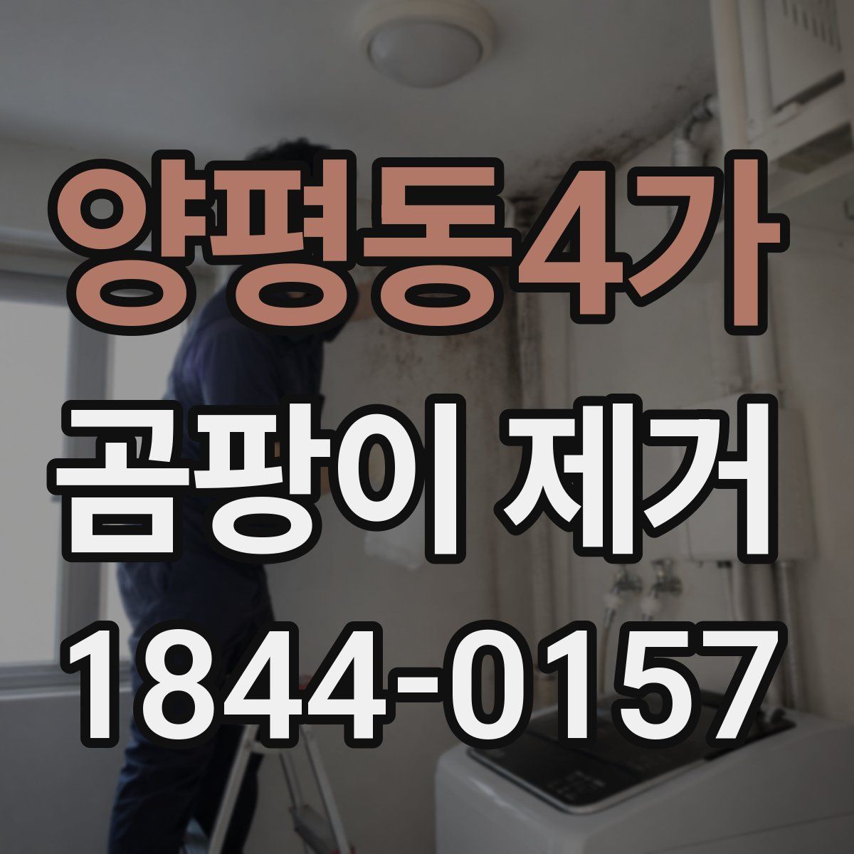 양평동4가 곰팡이 제거