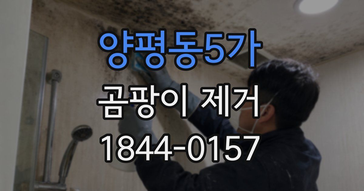 양평동5가 곰팡이 제거