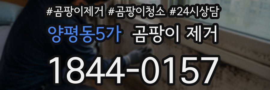 양평동5가 곰팡이 제거