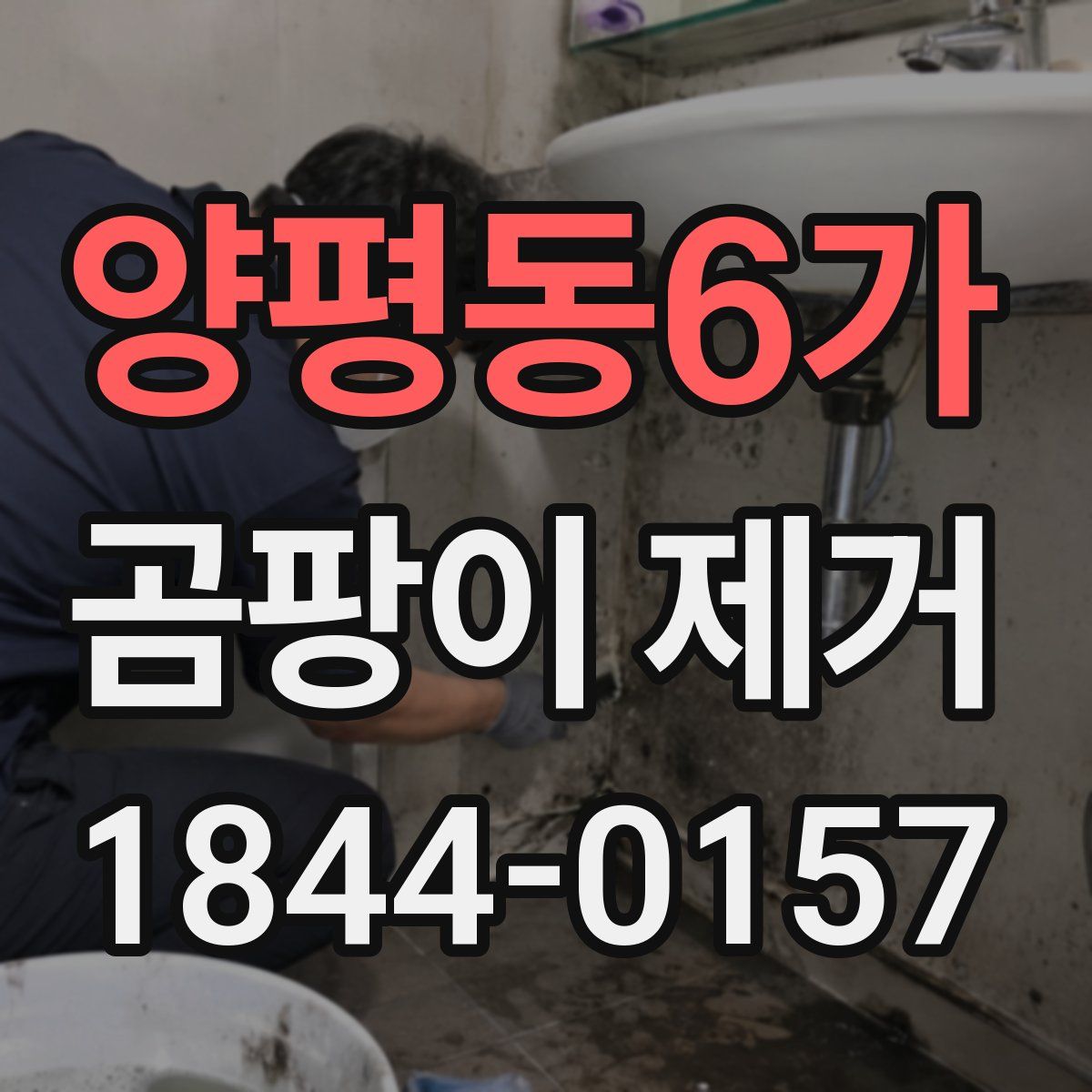 양평동6가 곰팡이 제거