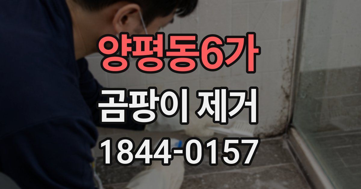 양평동6가 곰팡이 제거