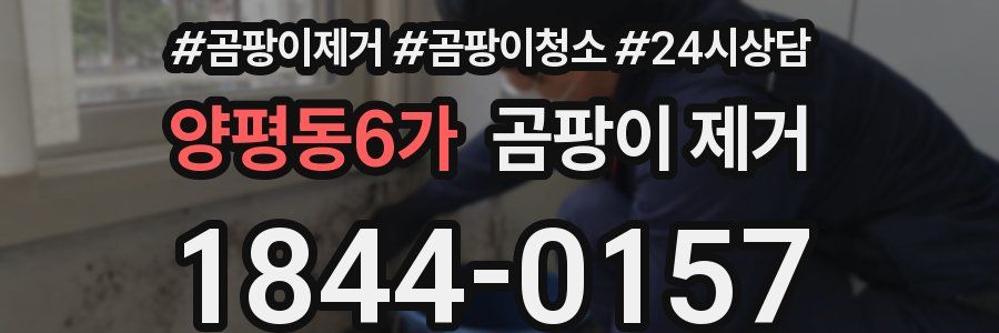 양평동6가 곰팡이 제거