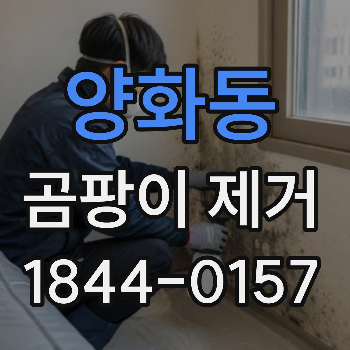 양화동 곰팡이 제거