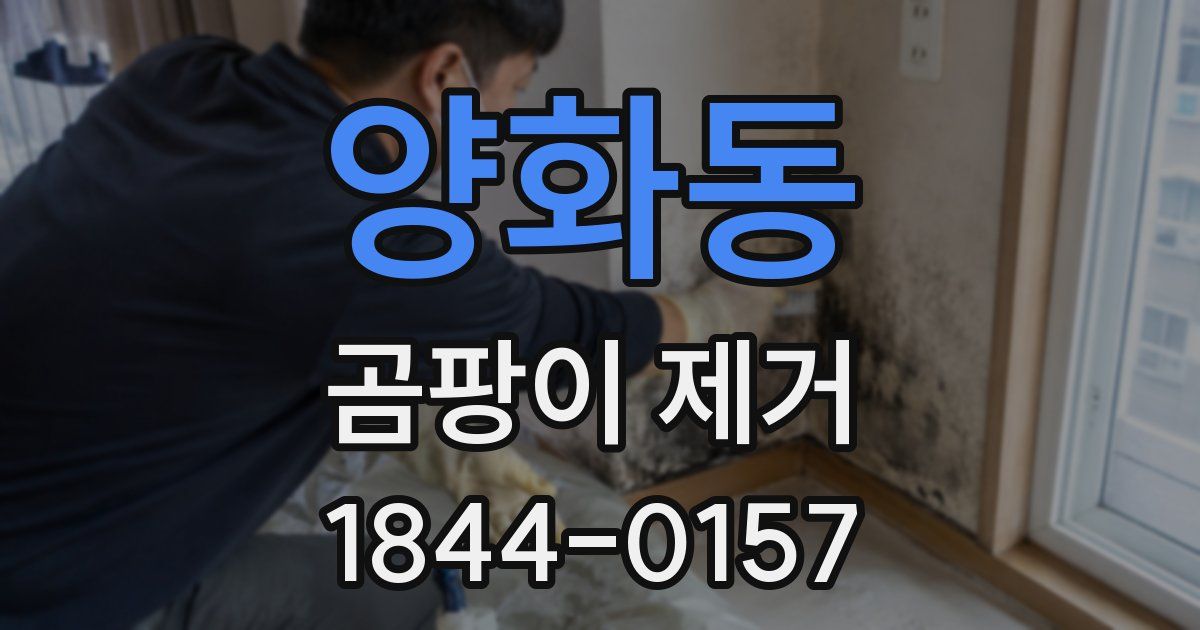 양화동 곰팡이 제거