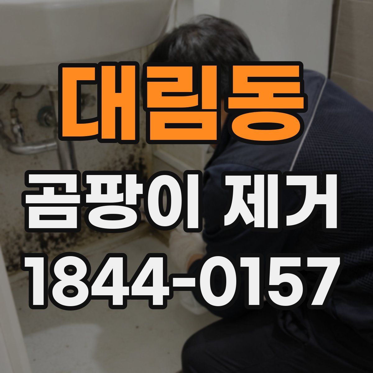 대림동 곰팡이 제거