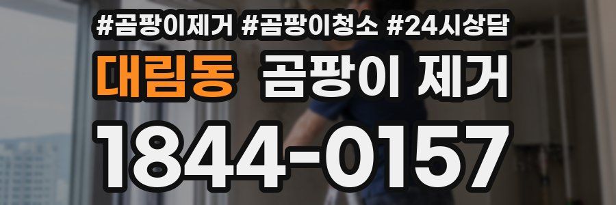 대림동 곰팡이 제거