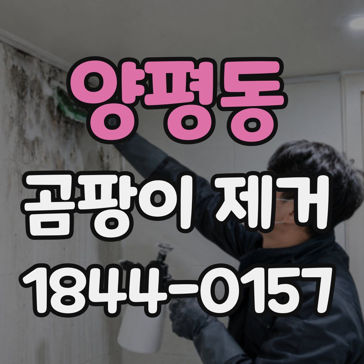 양평동 곰팡이 제거