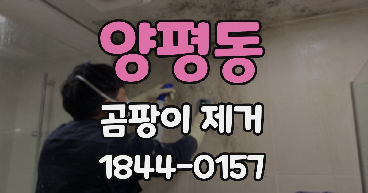 양평동 곰팡이 제거