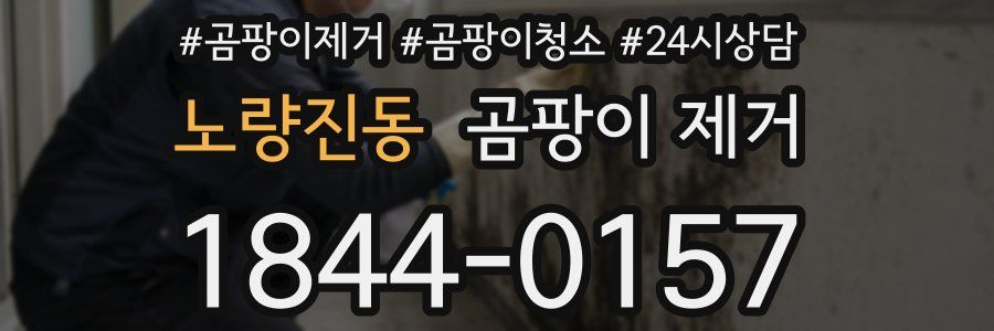 노량진동 곰팡이 제거