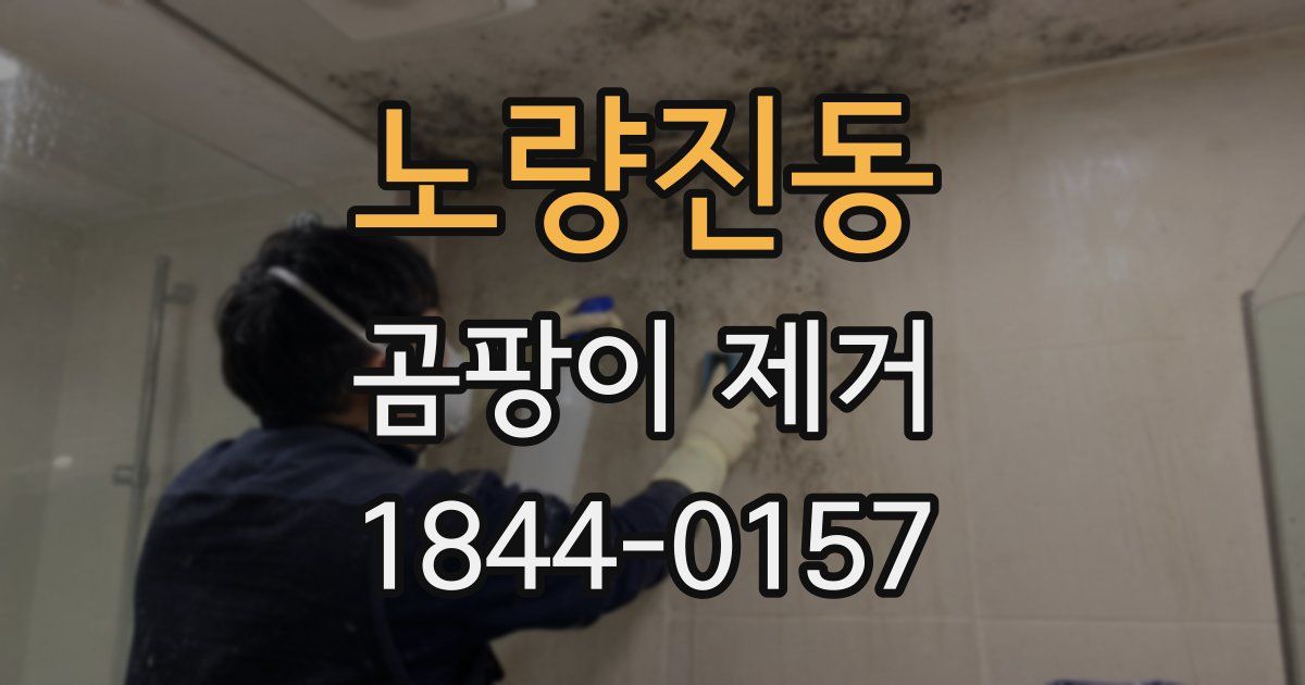 노량진동 곰팡이 제거