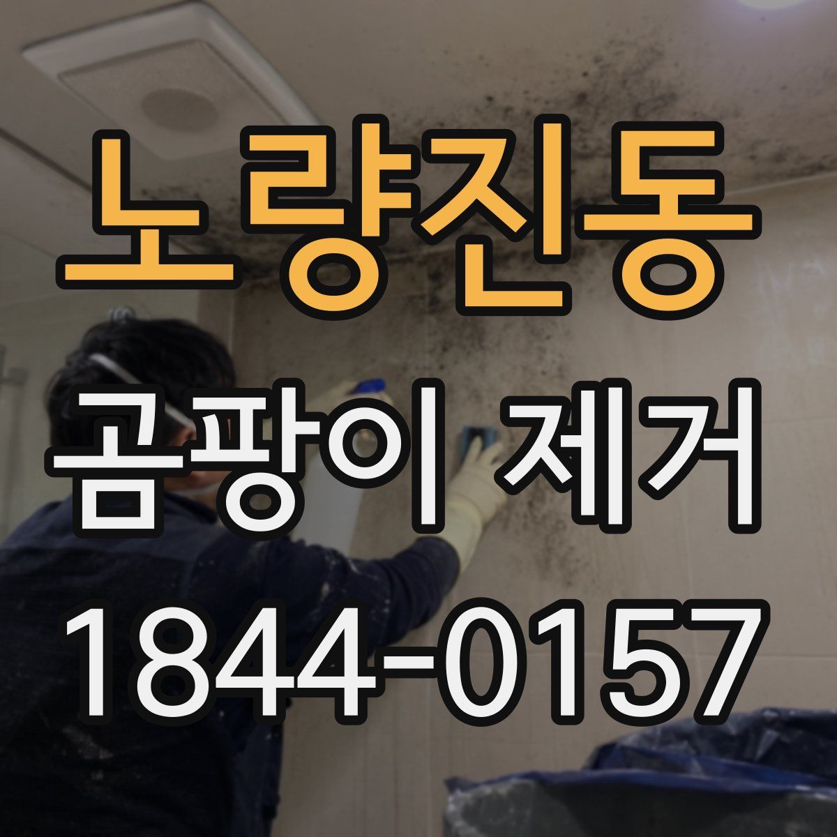 노량진동 곰팡이 제거
