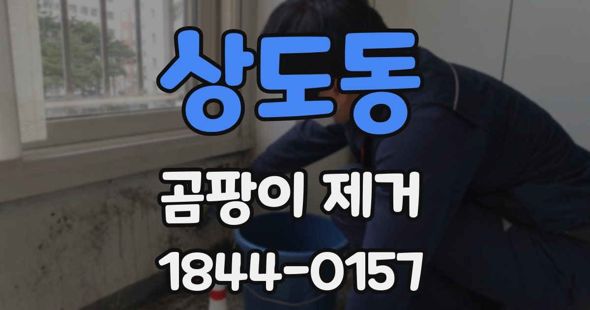 상도동 곰팡이 제거