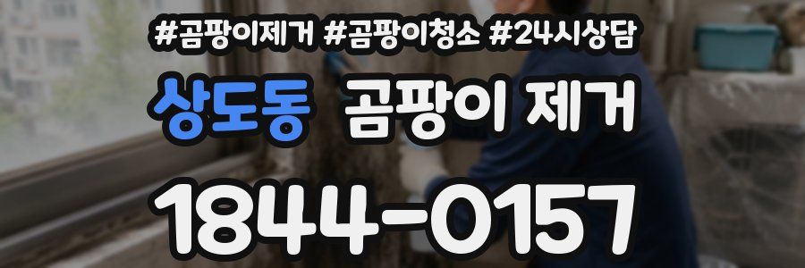 상도동 곰팡이 제거
