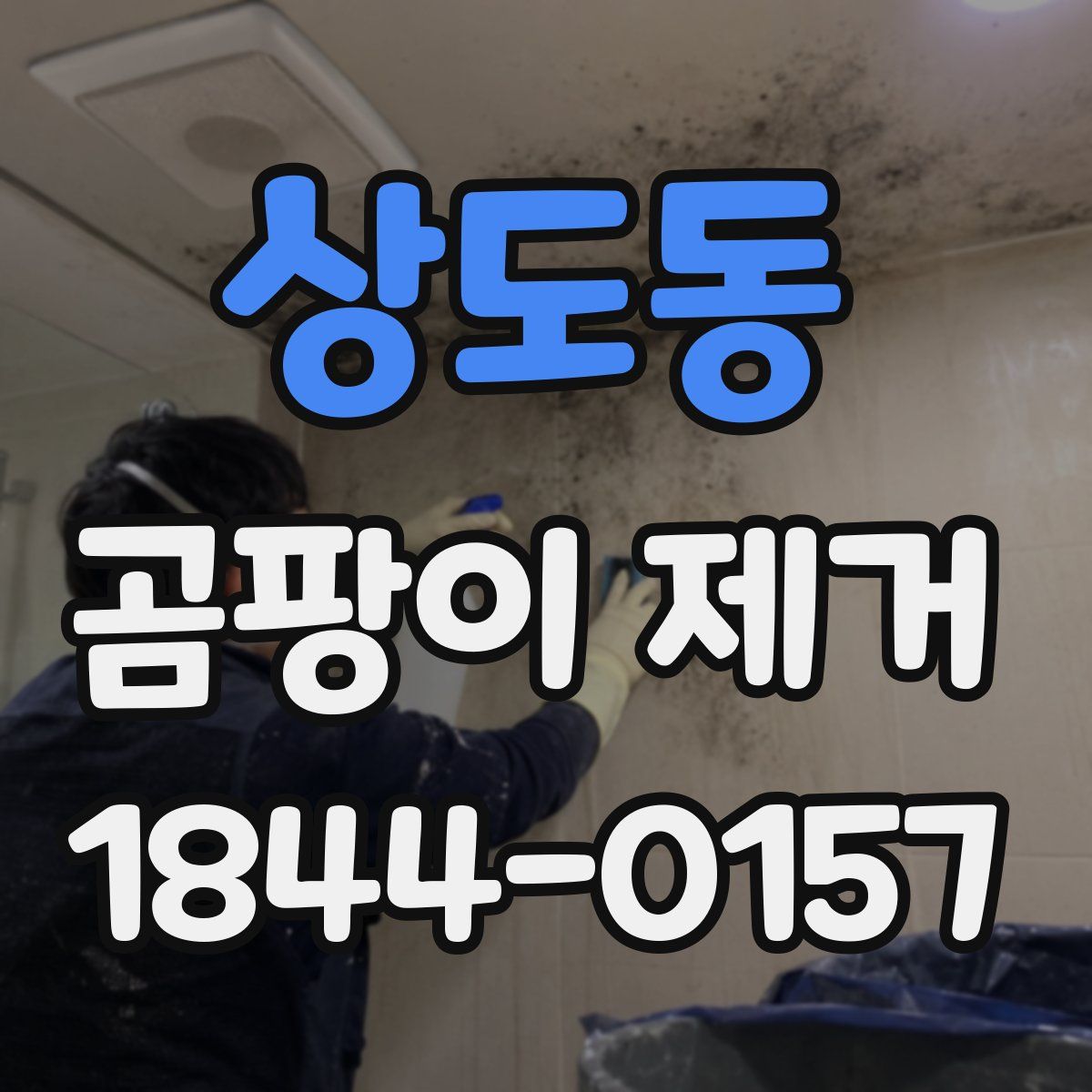 상도동 곰팡이 제거