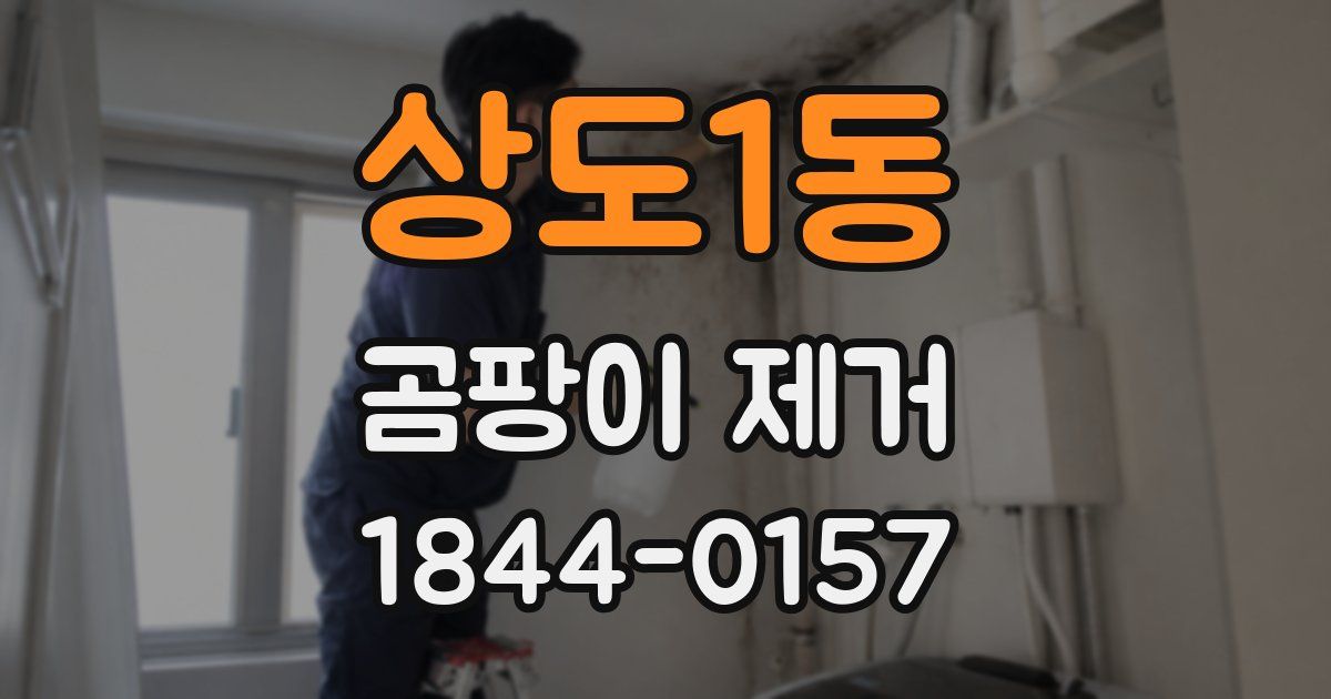 상도1동 곰팡이 제거