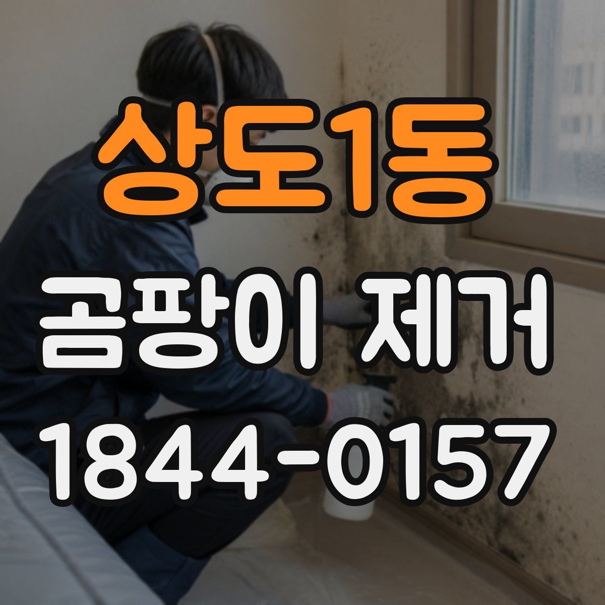 상도1동 곰팡이 제거