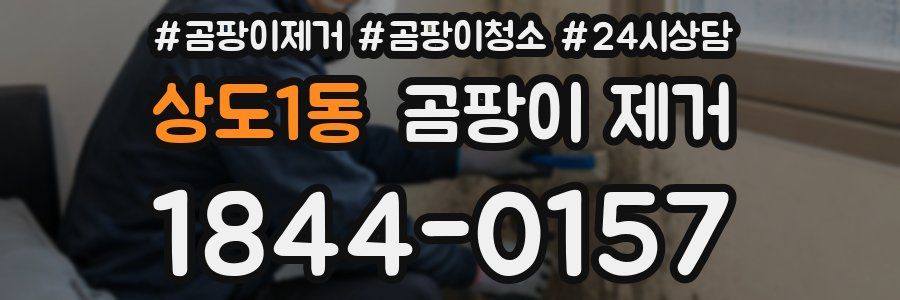 상도1동 곰팡이 제거