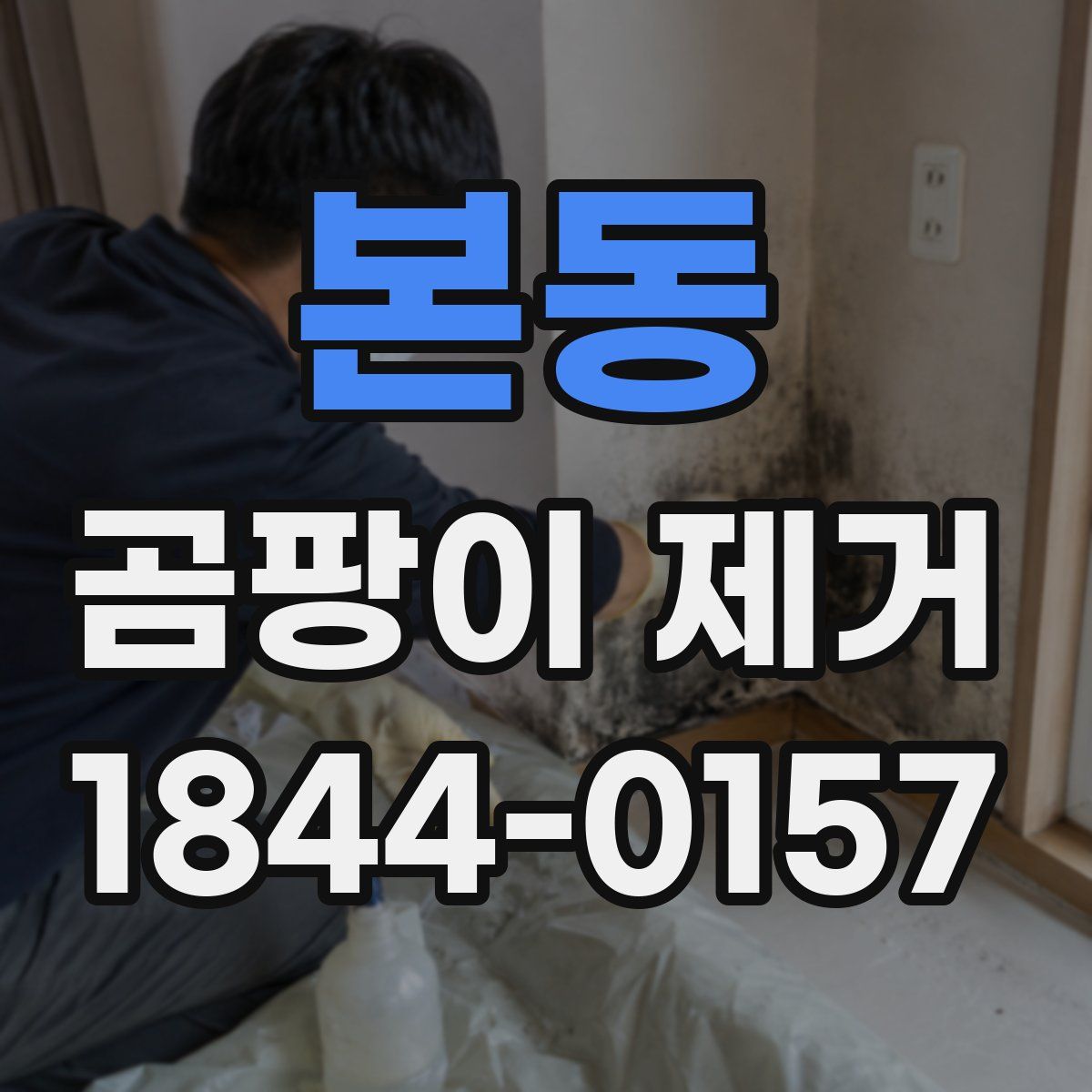 본동 곰팡이 제거