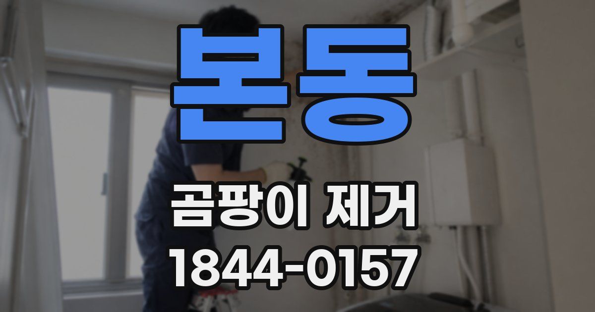 본동 곰팡이 제거