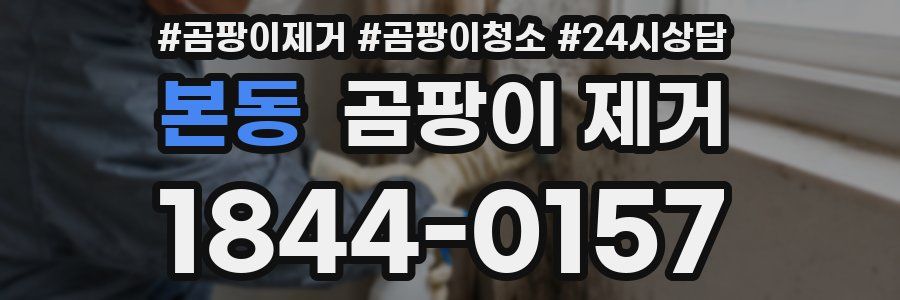 본동 곰팡이 제거