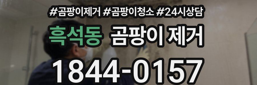 흑석동 곰팡이 제거