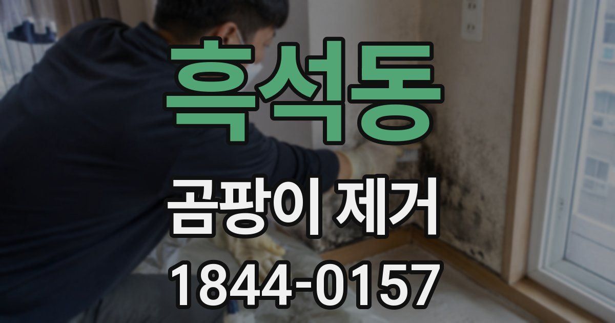 흑석동 곰팡이 제거