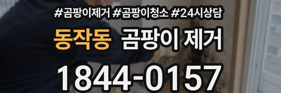동작동 곰팡이 제거