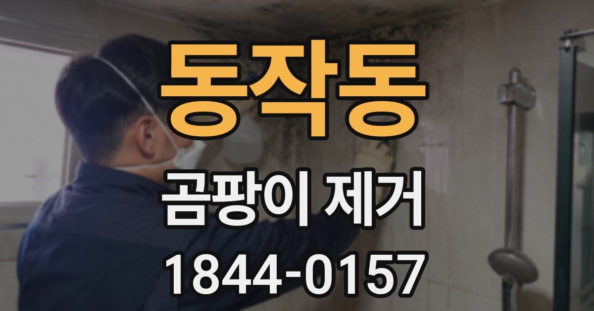 동작동 곰팡이 제거