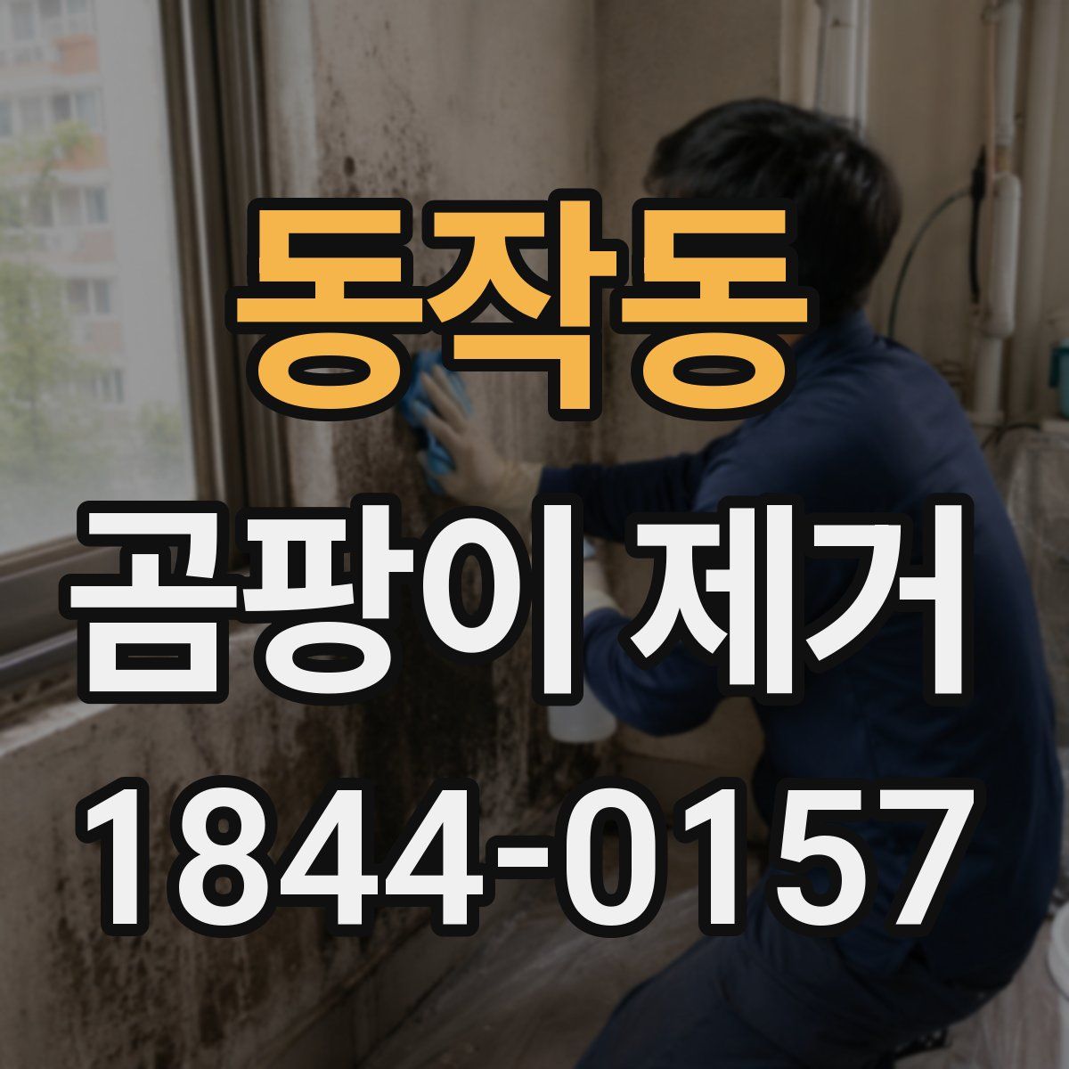 동작동 곰팡이 제거