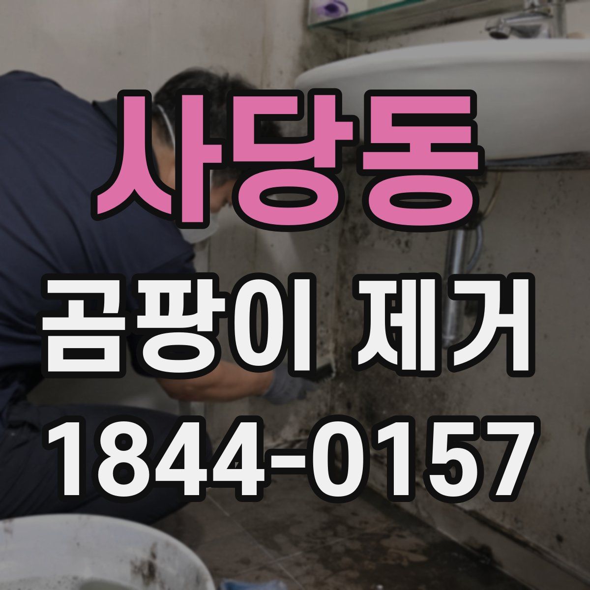 사당동 곰팡이 제거