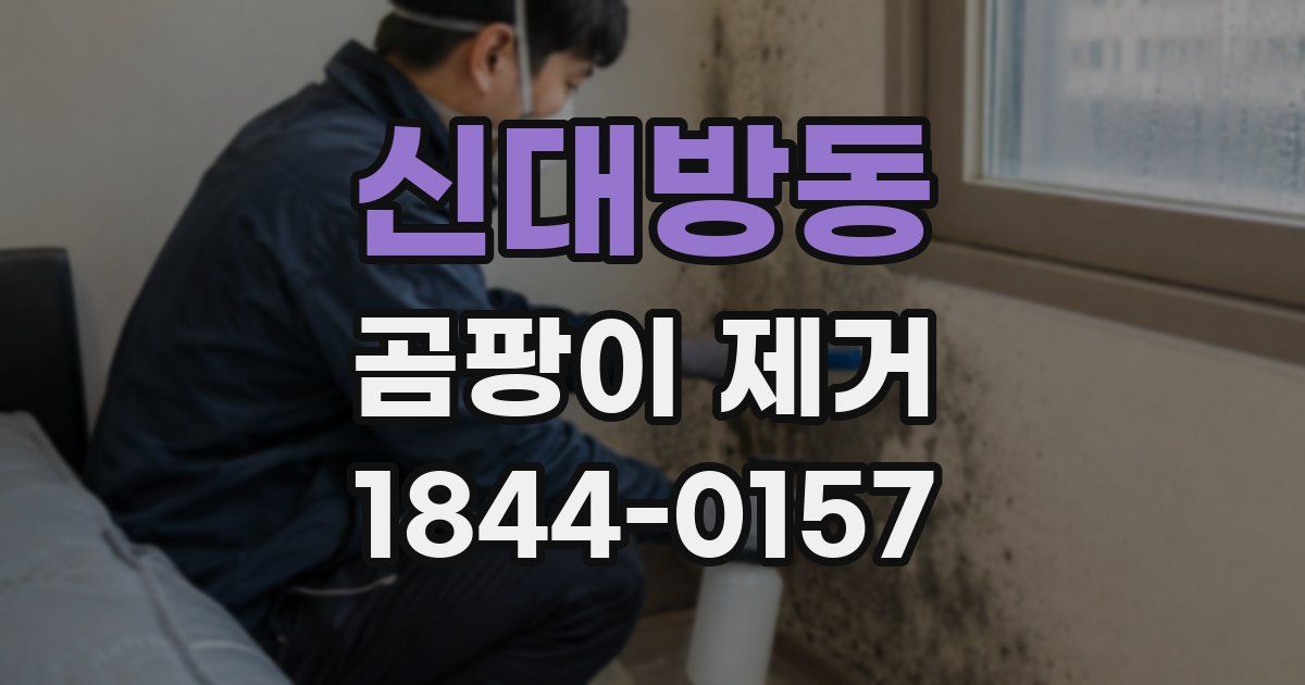 신대방동 곰팡이 제거