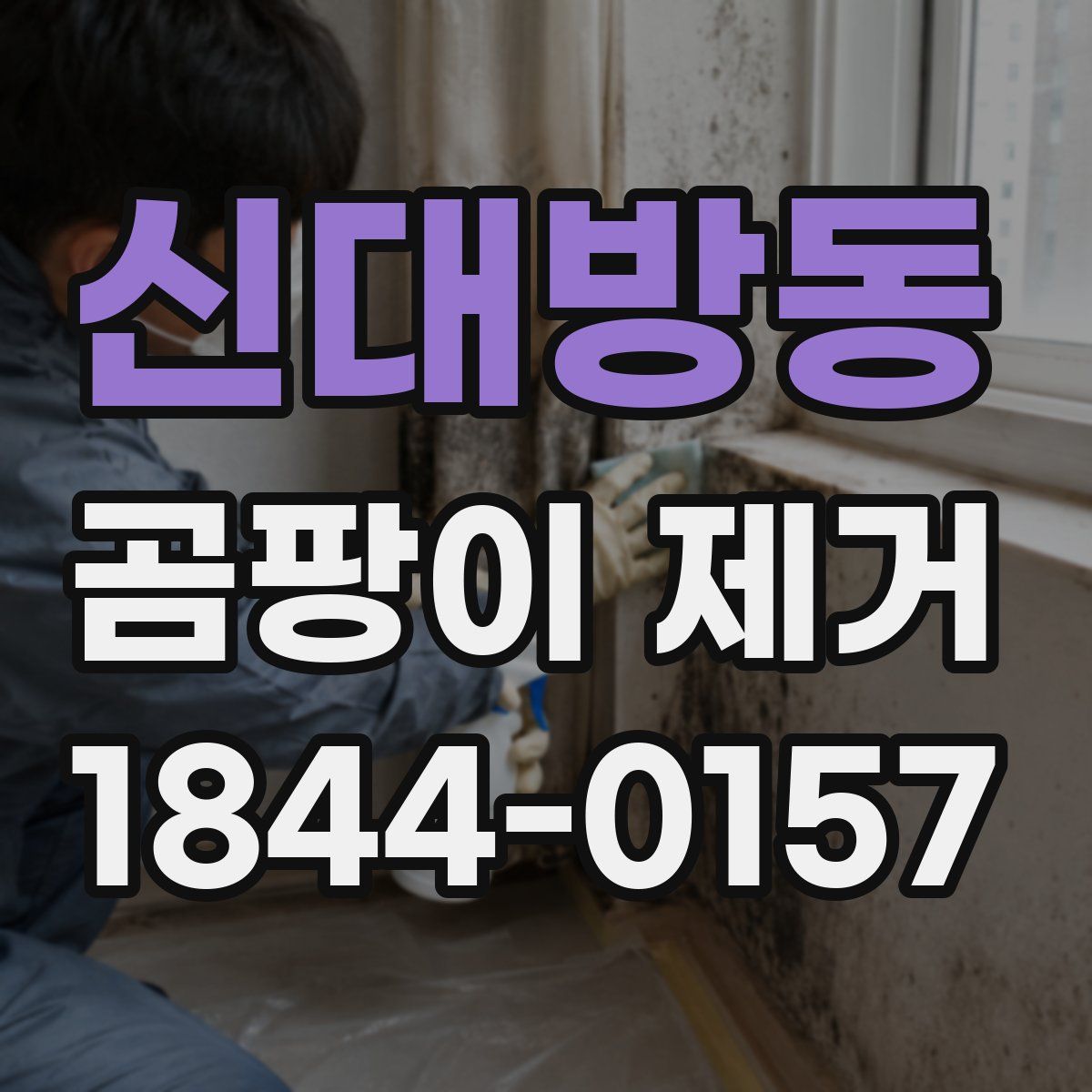 신대방동 곰팡이 제거