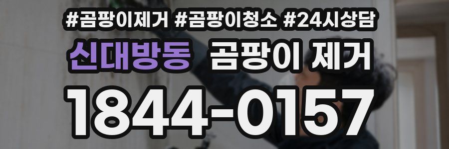 신대방동 곰팡이 제거