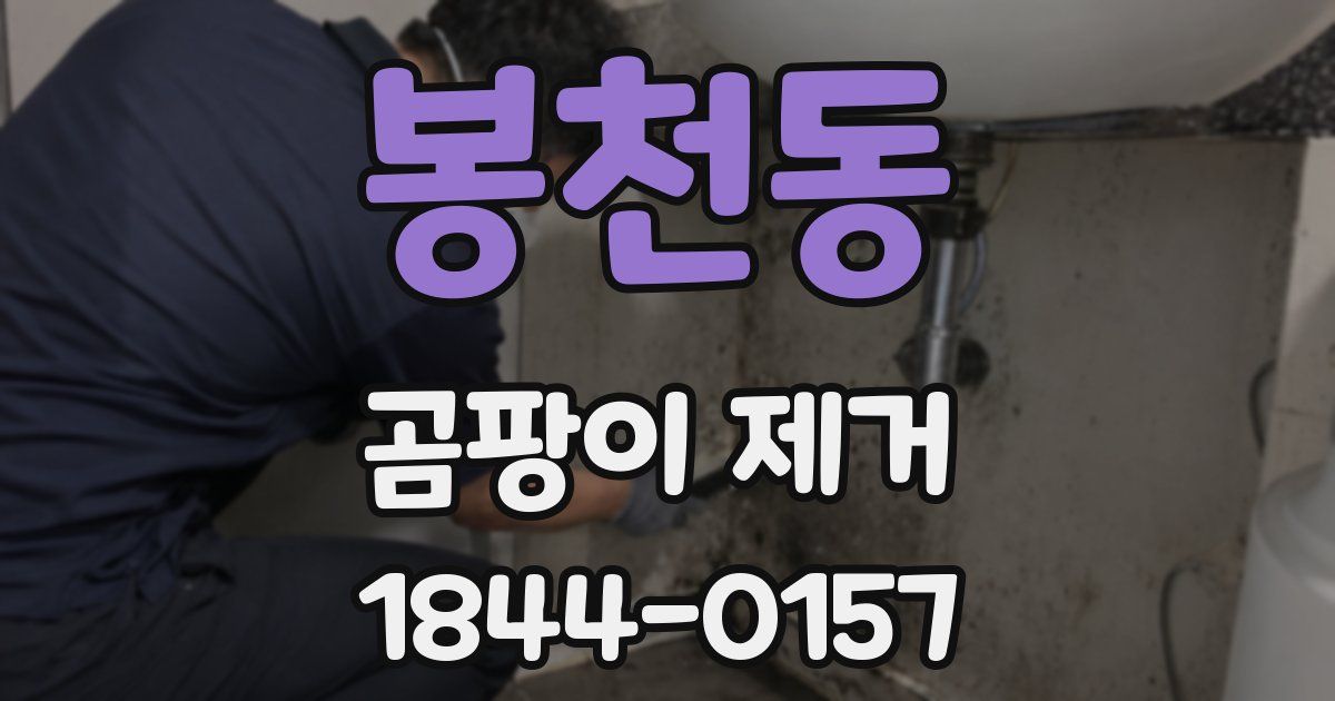 봉천동 곰팡이 제거