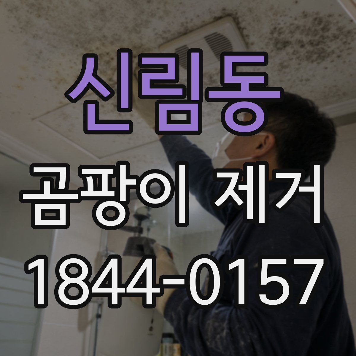 신림동 곰팡이 제거